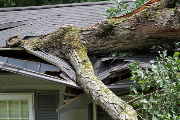 Storm Remediation in Kernersville