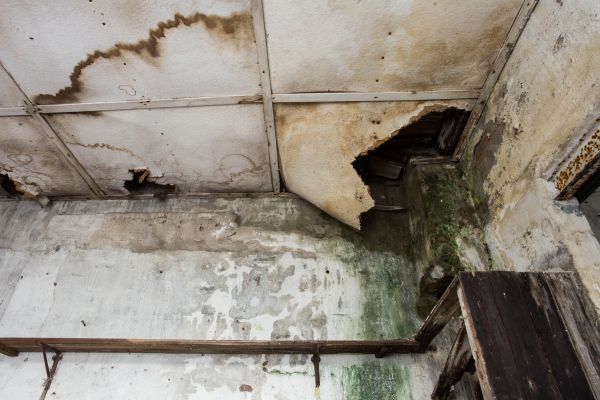 Water Damage Service in Kernersville