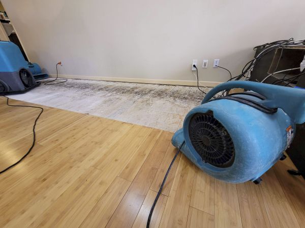 Water Damage Mitigation in Kernersville