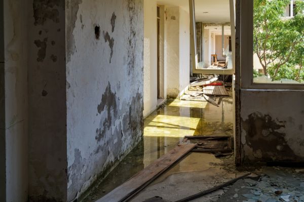 Water Removal Service in Kernersville