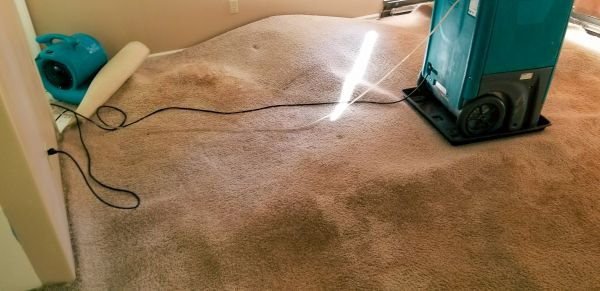 Carpet Water Extraction in Kernersville