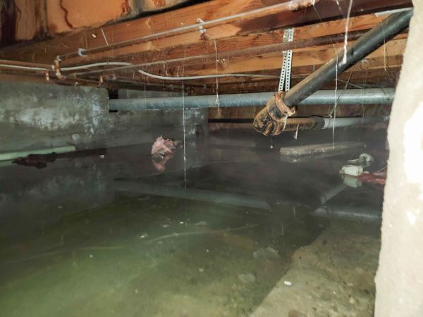 Water Mitigation Service in Kernersville