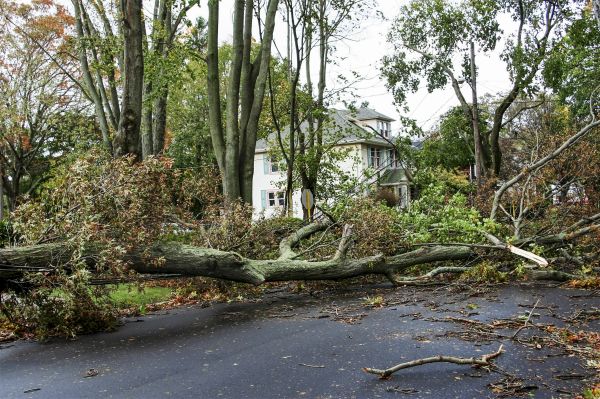 Tornado Damage Repair in Kernersville