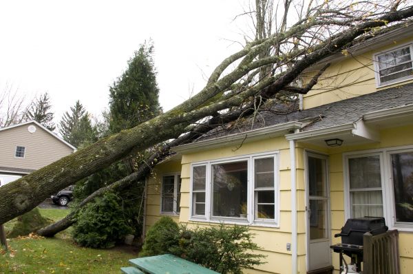 Hurricane Damage Repair in Kernersville