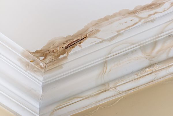 Water Damage Recovery in Kernersville